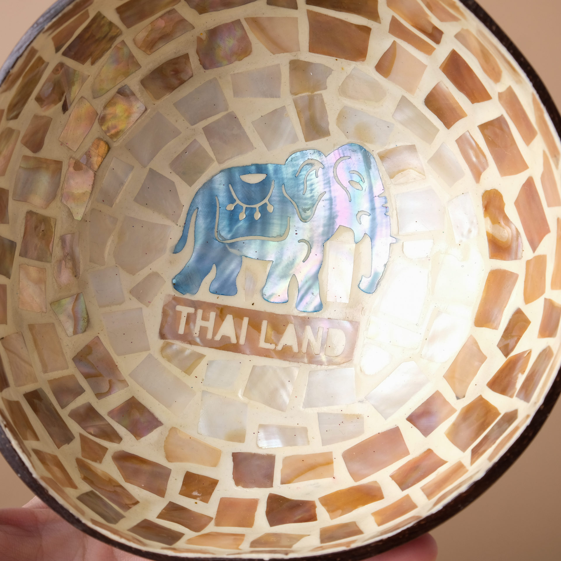 Vintage Thai Elephant Coconut Shell Bowl - ThailandAtHome
